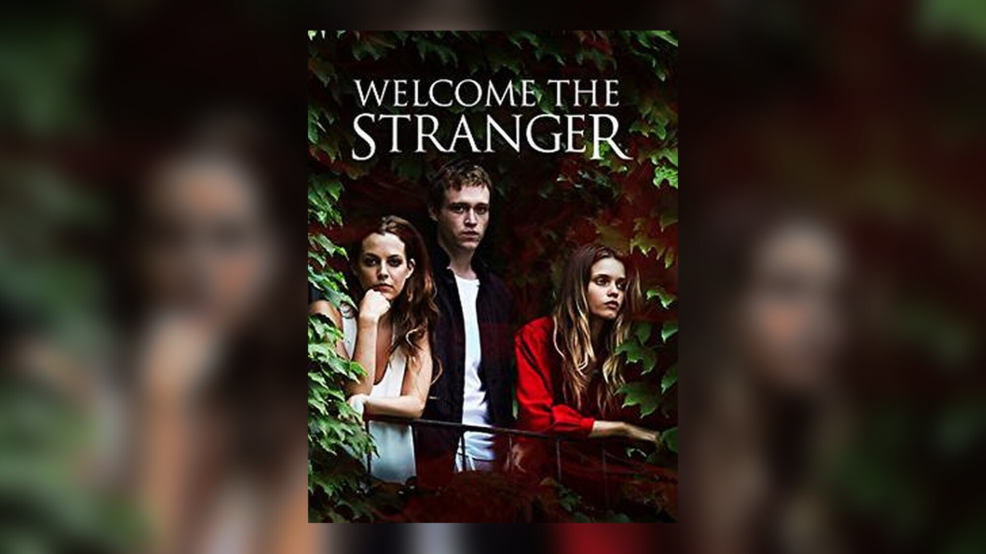 Welcome the Stranger artwork